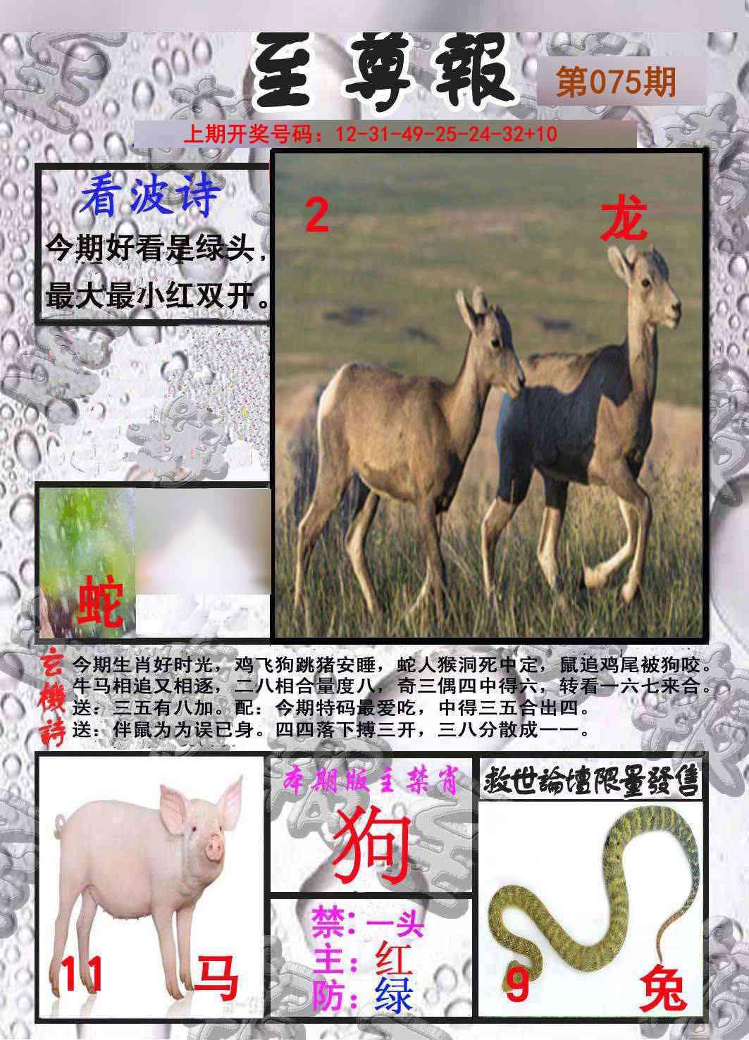 075期至尊报[图]